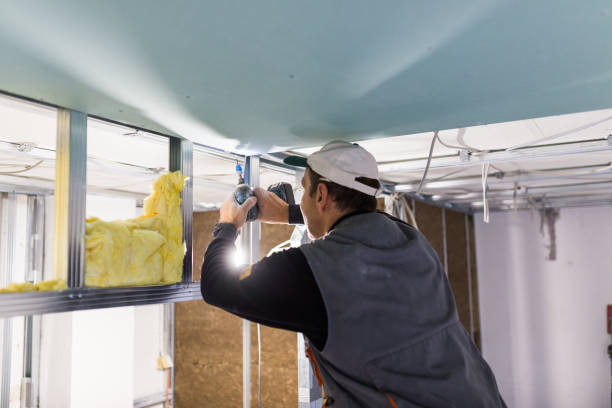 Best Insulation for Specific Applications in Coral Terrace, FL