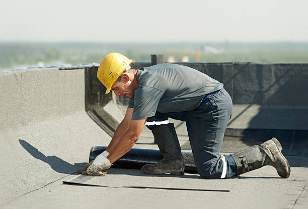 Best Residential Insulation in Coral Terrace, FL
